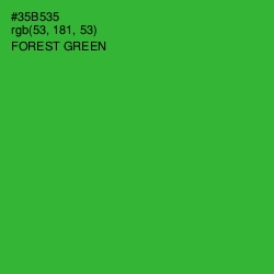 #35B535 - Forest Green Color Image